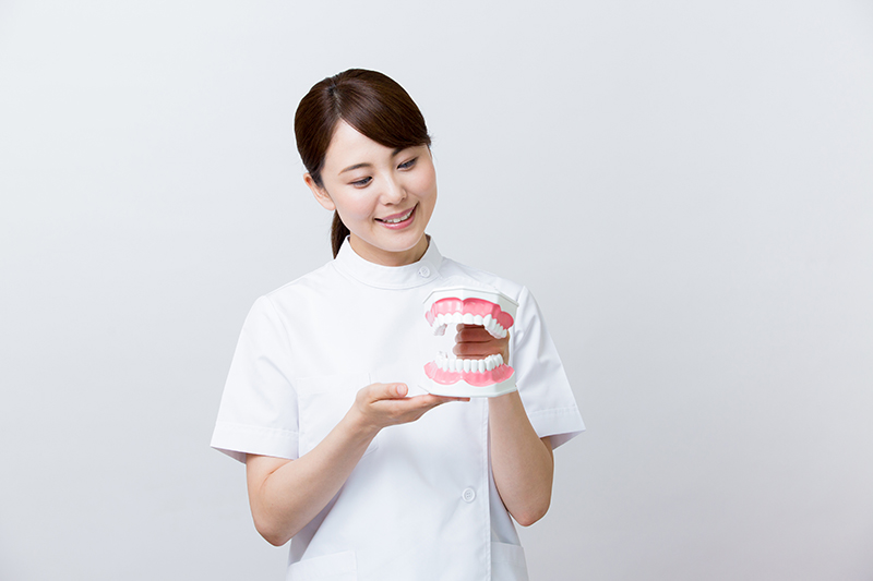 噛み合わせまで考えた機能美の設計